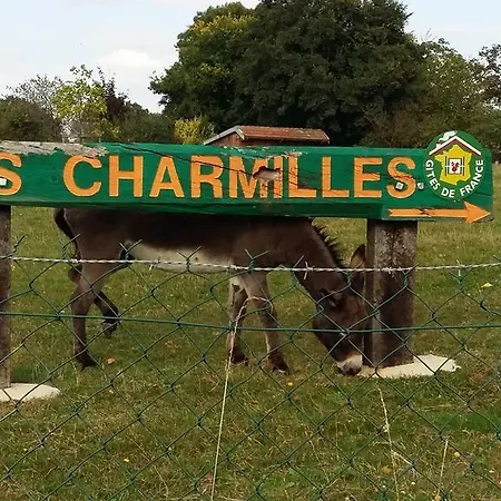 Domaine Des Charmilles Mantenay-Montlin